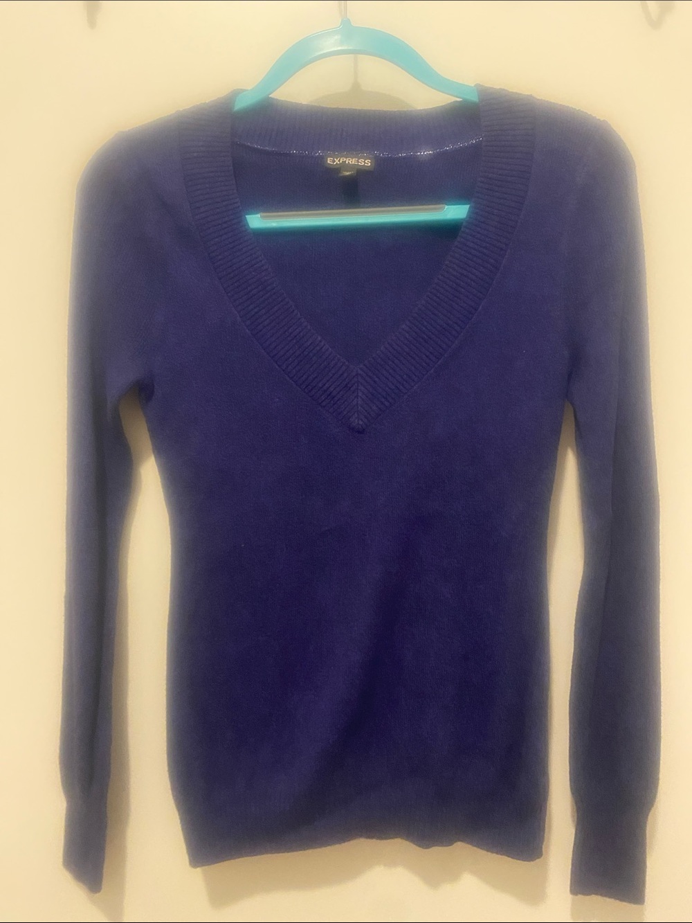 Express Women’s Royal Blue V-Neck Sweater